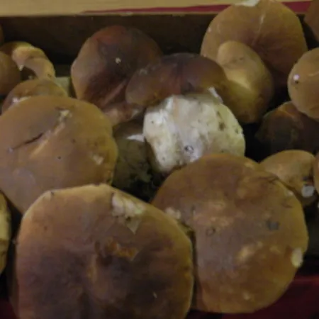 Osteria San Giuseppe 호텔 세리아노 라게토